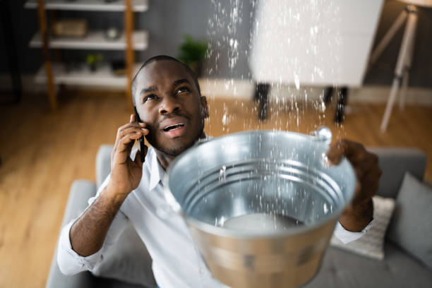 Water damage restoration mold remediation in Lakeland, TN
