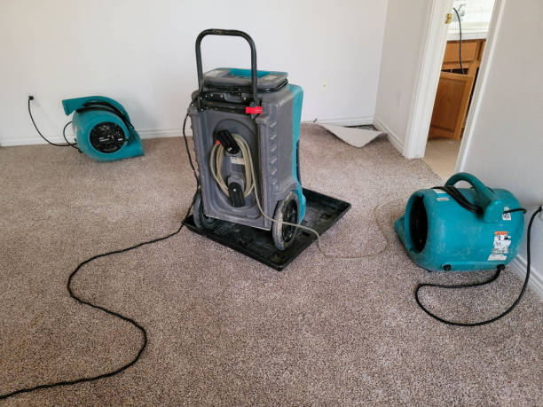 Best 24-hour water damage restoration  in Lakeland, TN
