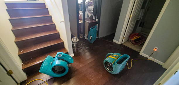 Best 24-hour water damage restoration  in Lakeland, TN
