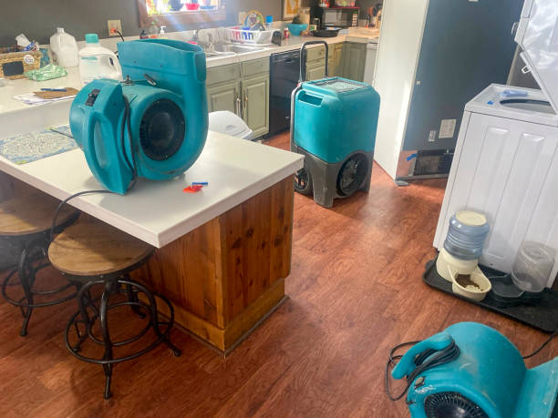 Best Flood damage cleanup  in Lakeland, TN