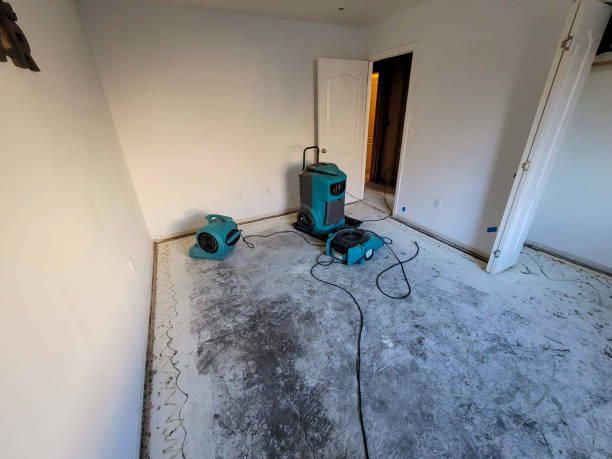 Best Fire Damage Restoration  in Lakeland, TN