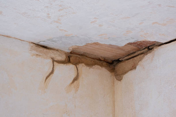 Best Water damage restoration services  in Lakeland, TN