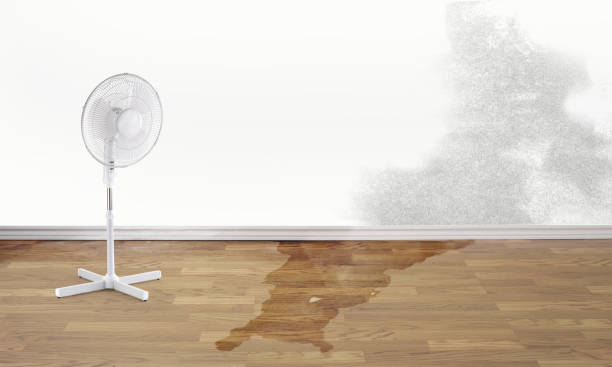 Best Ceiling water damage repair  in Lakeland, TN