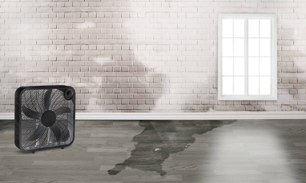 Professional Water damage restoration in Lakeland, TN
