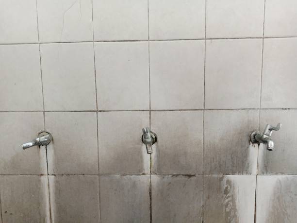 Best Basement water damage restoration  in Lakeland, TN