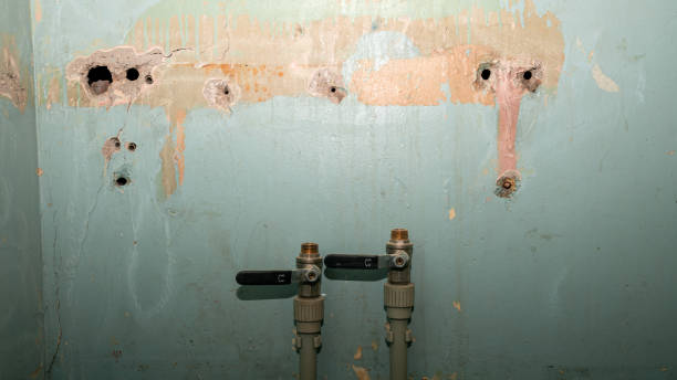 Best Local water damage restoration  in Lakeland, TN