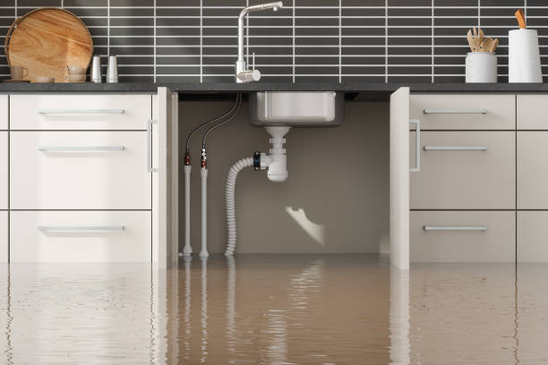 Carpet water damage restoration in Lakeland, TN