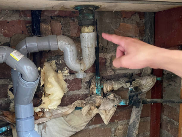 Best Flood damage cleanup  in Lakeland, TN