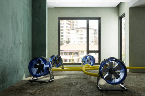 Fire Damage Restoration in Lakeland, TN
